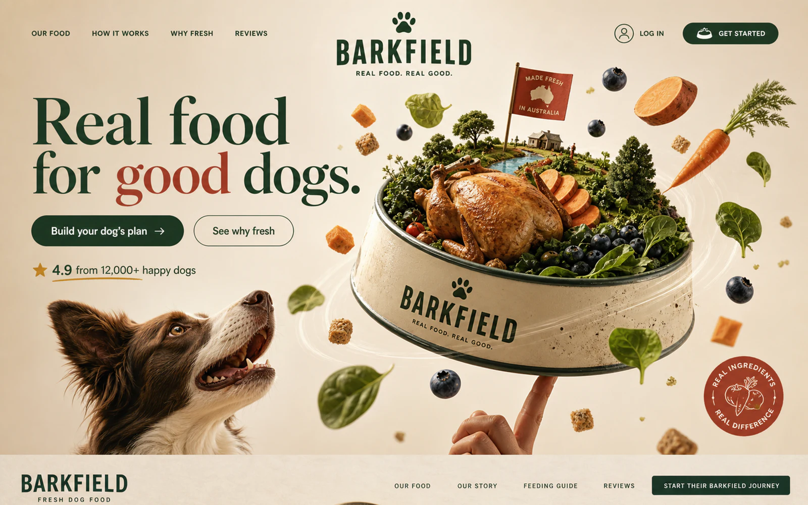 Barkfield Pet nutrition commerce website concept