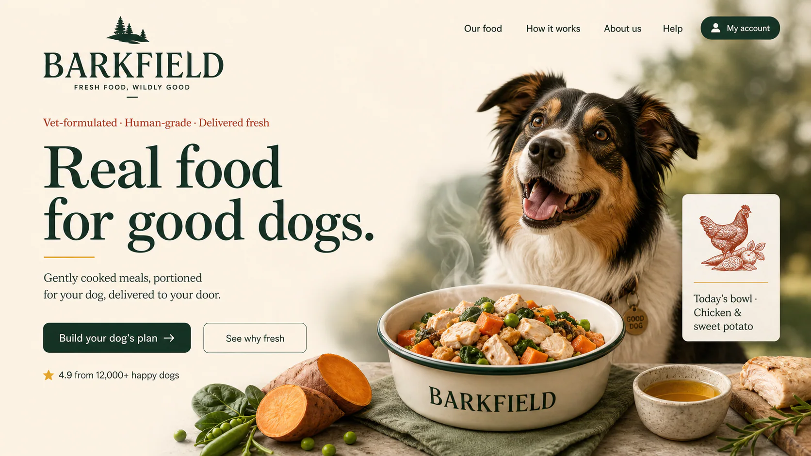 Barkfield premium fresh dog food website concept