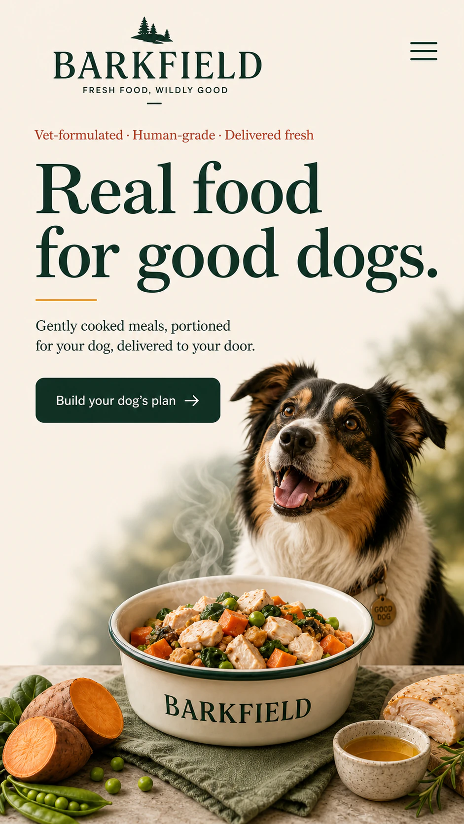 Barkfield premium fresh dog food mobile website concept